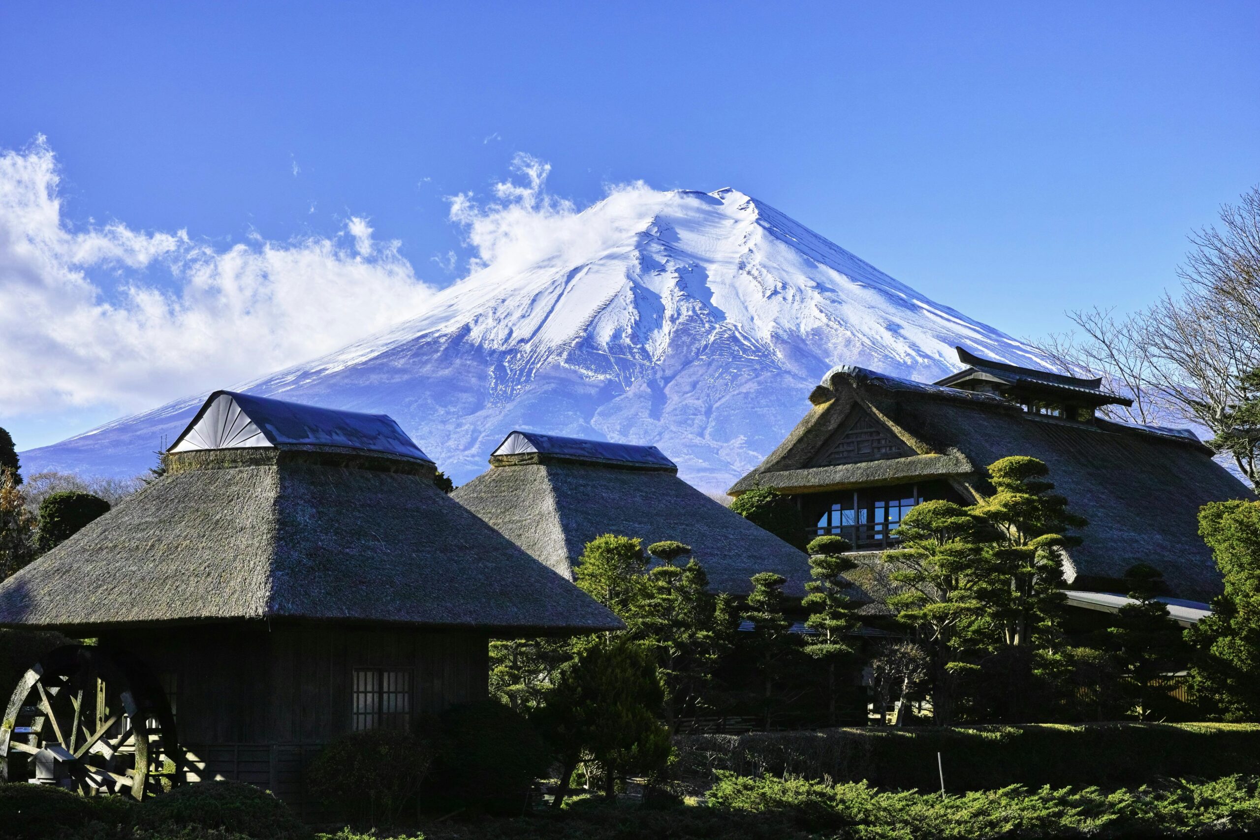 MT FUJI
