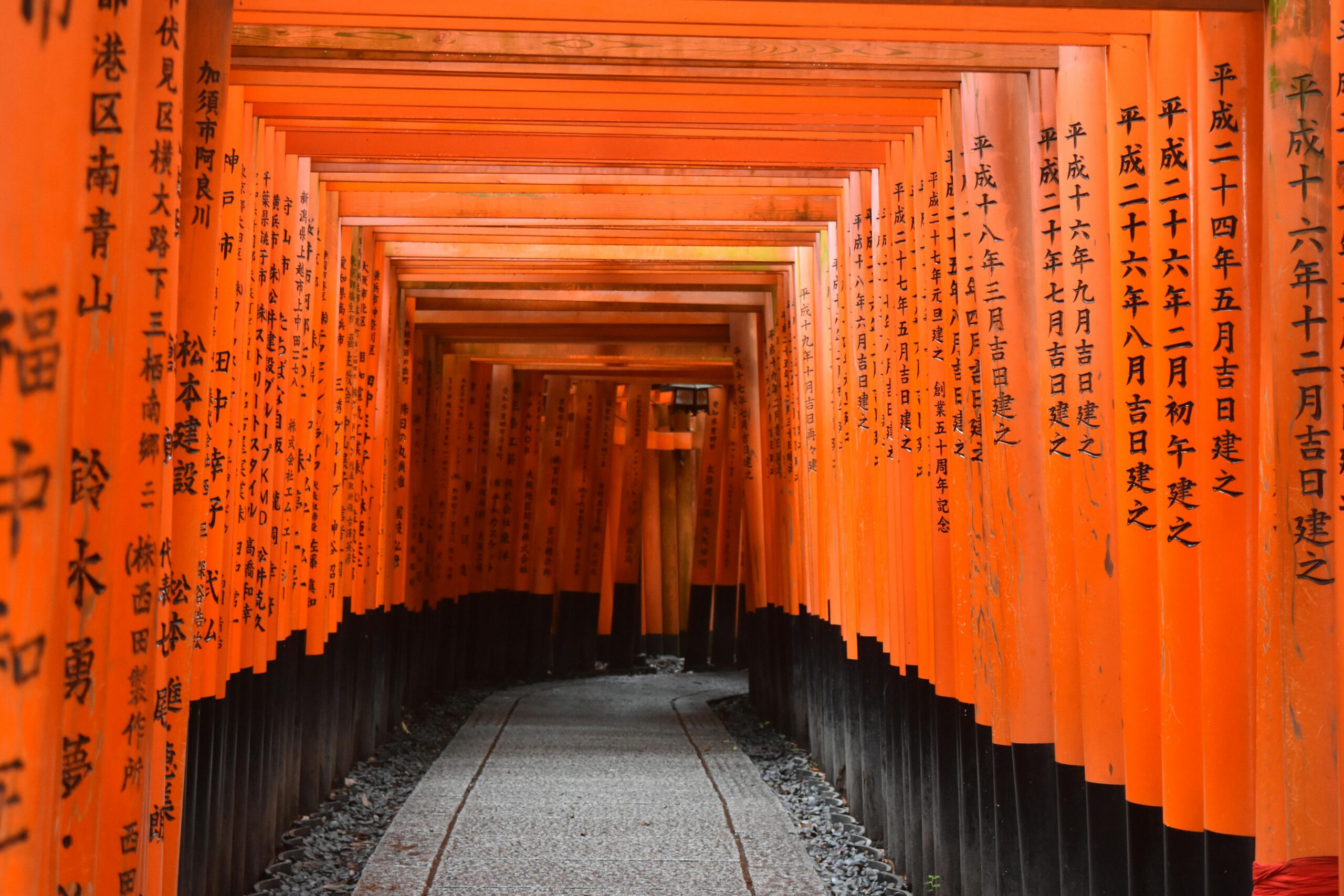 Kyoto Sightseeing